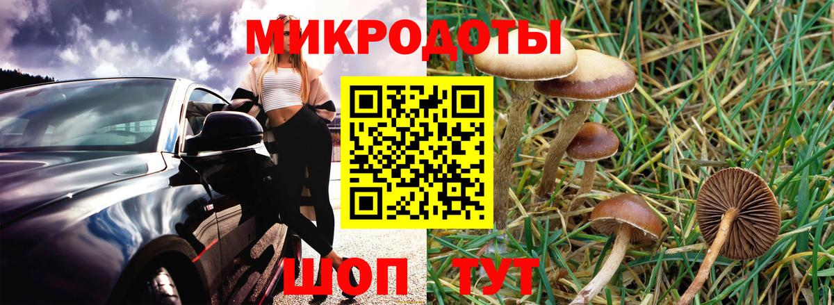 Галлюциногенные грибы Psilocybe  где можно купить   Архангельск  Вход с VPN 